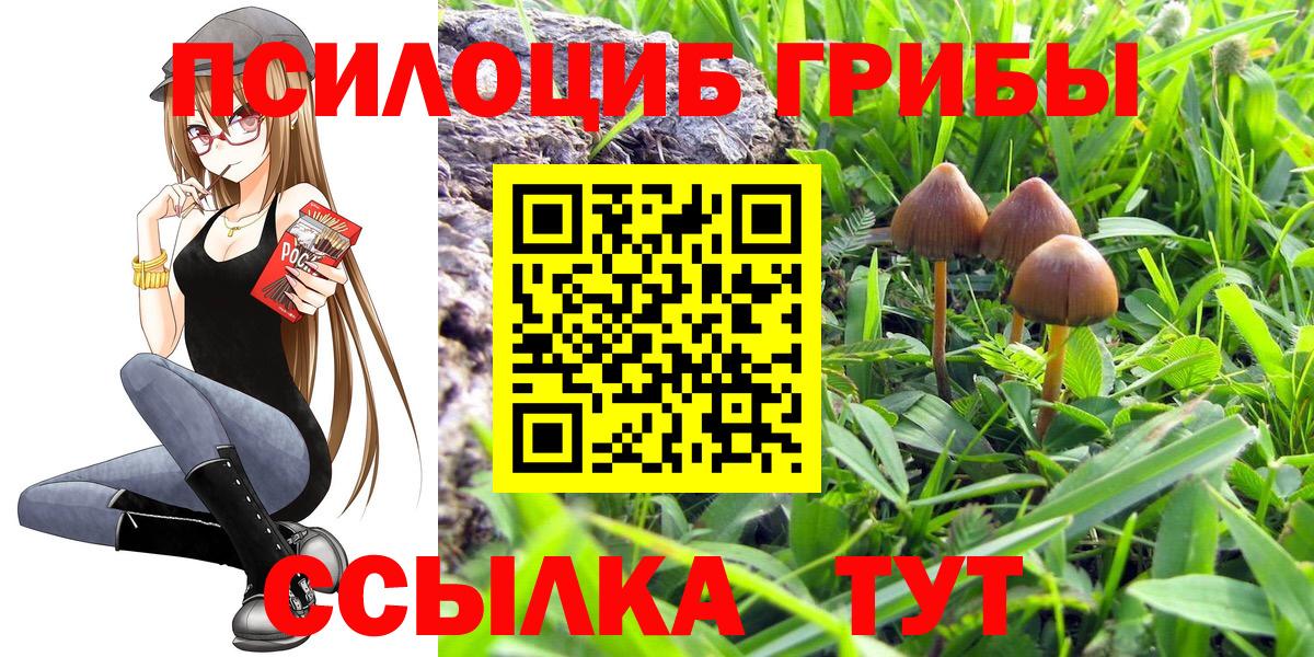 цена   Вход с VPN  Назарово  Псилоцибиновые грибы GOLDEN TEACHER 
